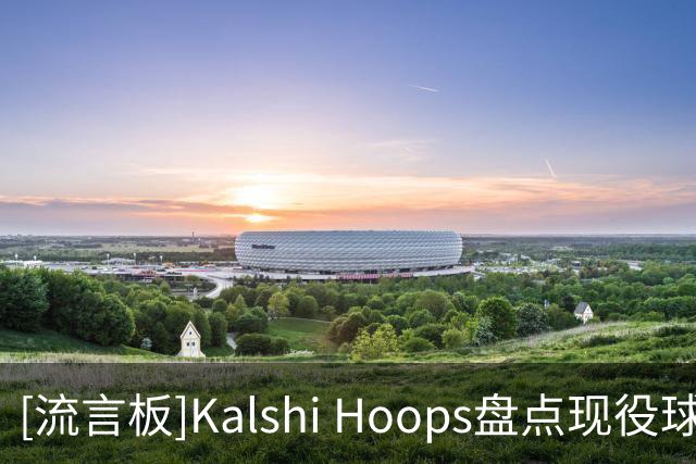 [流言板]Kalshi Hoops盘点现役球员签名鞋数量榜单：老詹42双领衔